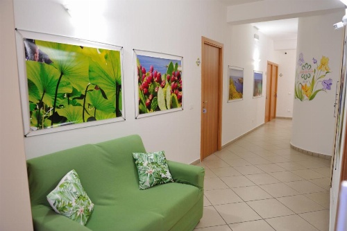 Green Garden image 45