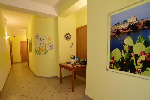 Green Garden image 4