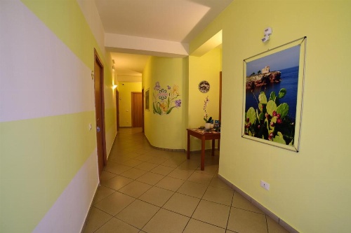 Green Garden image 5